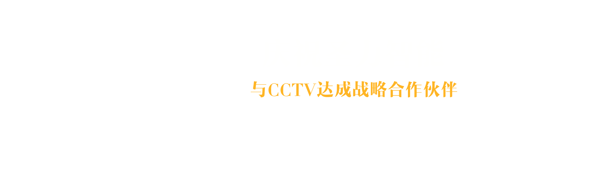 �Ϸ�˫��(�й���)���޹�˾����